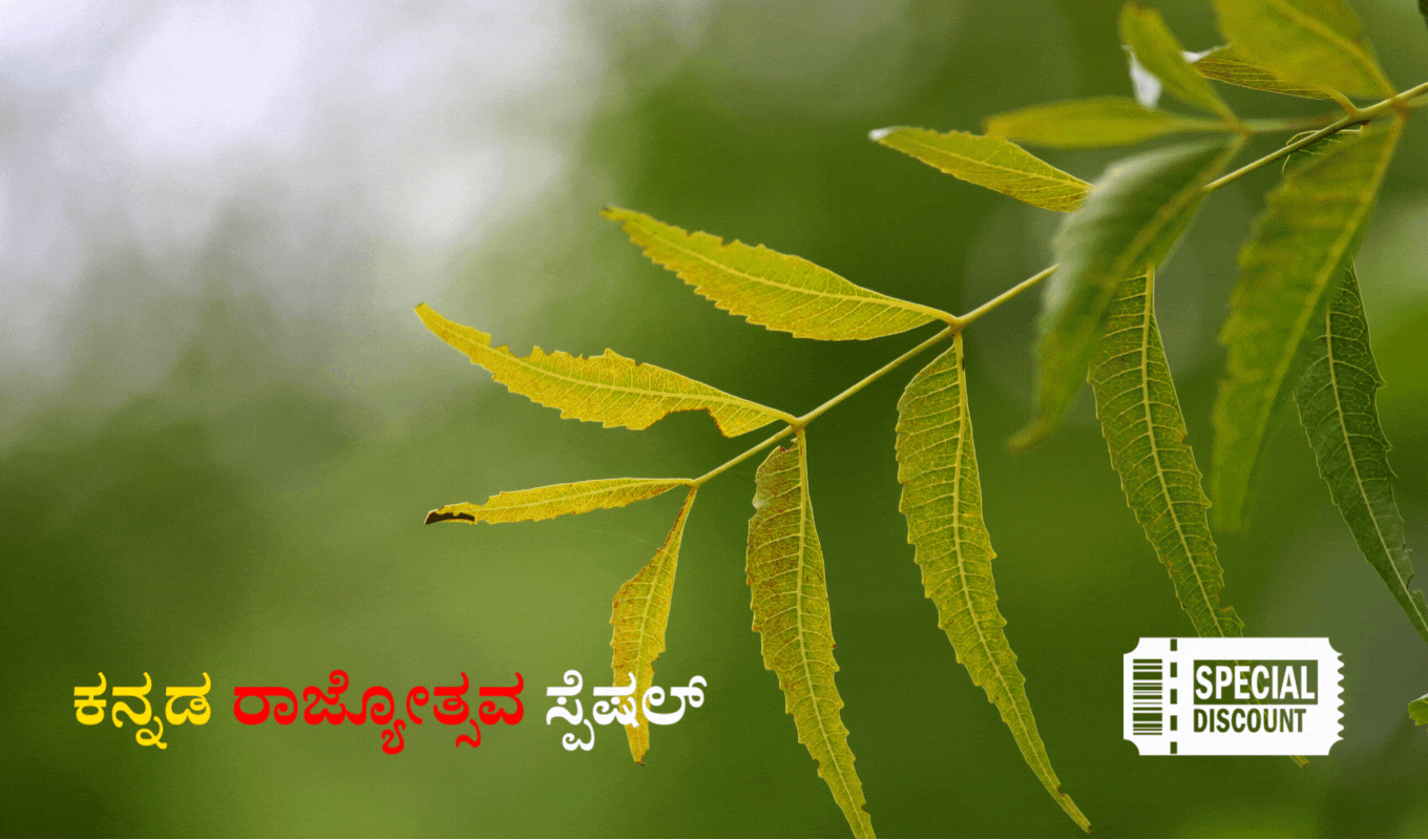 ಕನ್ನಡ ಓದಿ