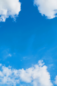 बंधक से मुक्ति--5